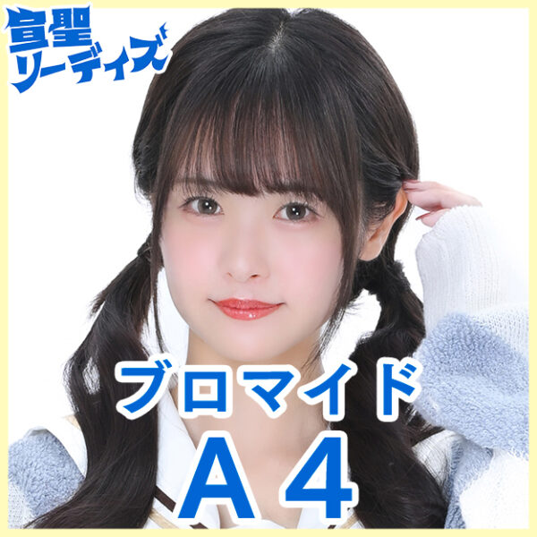 長南舞【Ａ４】